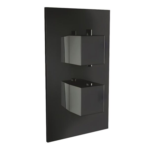 Mono Black 1 Way Square Concealed Shower Valve
