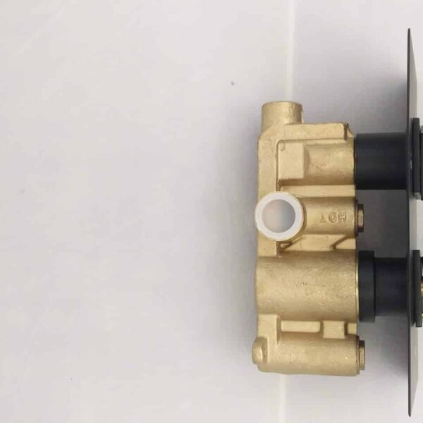 Mono Black Single Function Concealed Shower Valve - Image 2