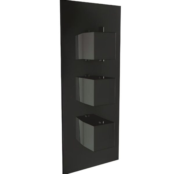 Mono Black Dual Function Concealed Shower Valve
