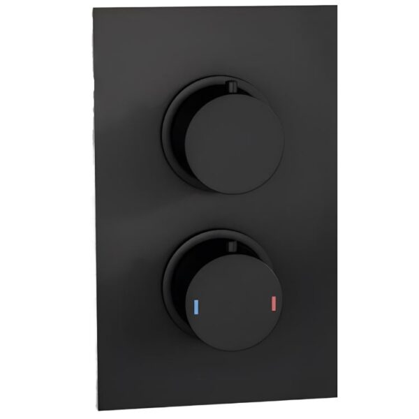 Matt Black Twin Concealed Round Shower Valve 2 Way