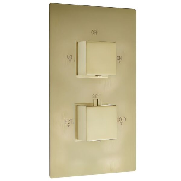 Highlife Oban Brushed Brass Square Twin Shower Valve