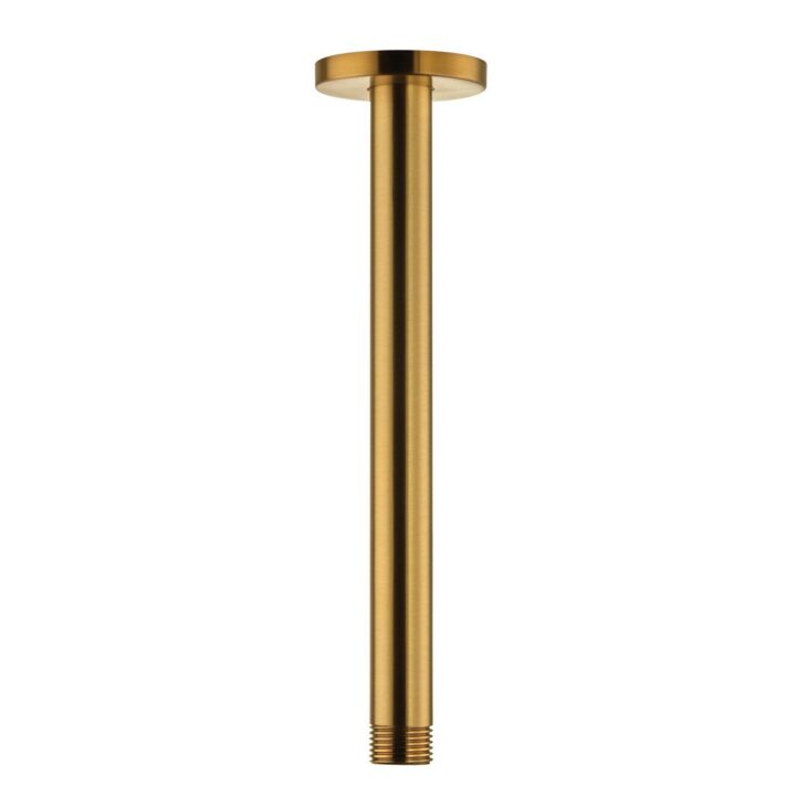Niagara Equate Brushed Brass Round Ceiling Shower Arm