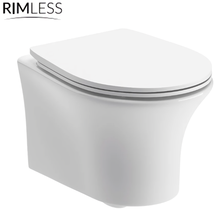 Sadie Rimless Wall Hung WC & Soft Close Seat