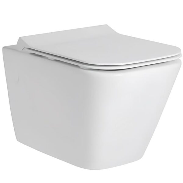 Tavistock Structure 505mm White Wall Hung WC Pan With Soft Close Seat