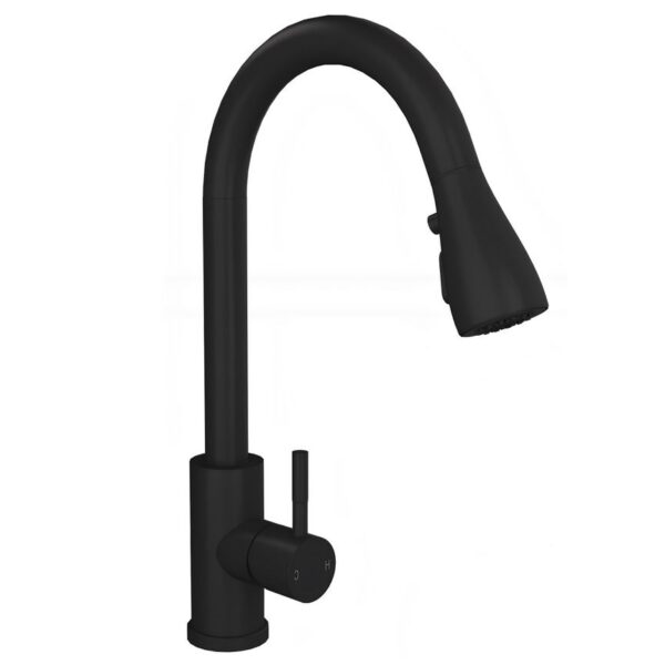Kitchen Sink Mixer Tap with Pull Out Spray and Swivel Spout - Matt Black