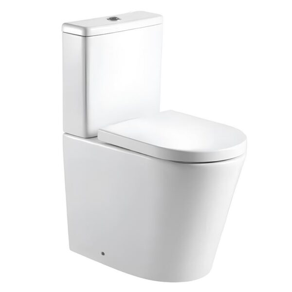 Ferrara Rimless Comfort Height D Shape Toilet With Seat