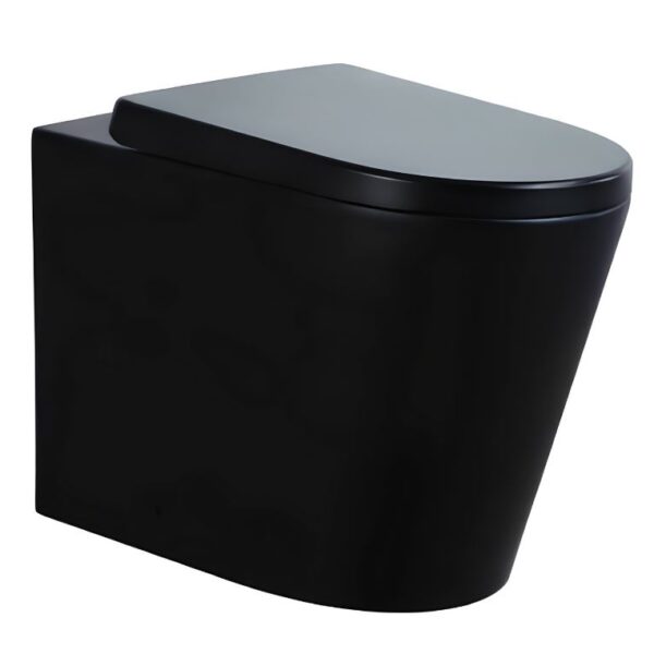 Matt Black Round Back To Wall Rimless Toilet & Seat