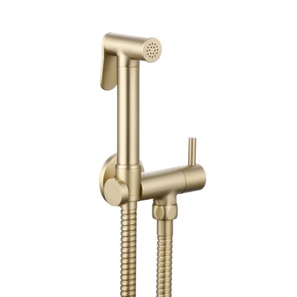 Highlife Brushed Brass Annan Douche With Round Isolator Valve